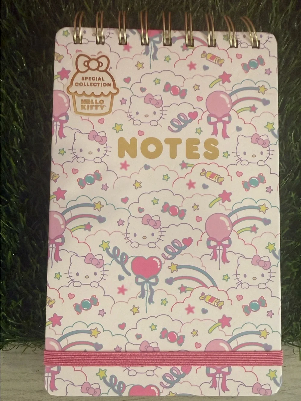 Sanrio Hello Kitty top spiral notebook - special collection